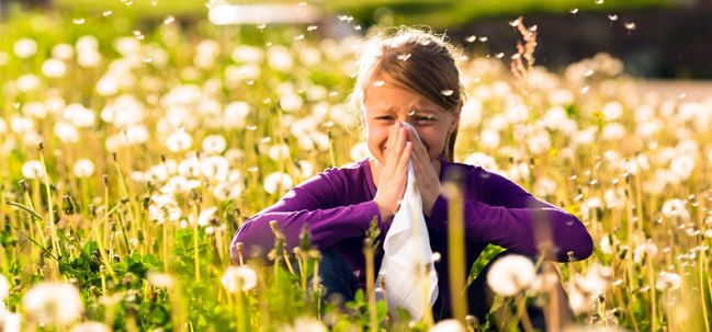 Kako Razlikovati Prehladu Od Alergije?